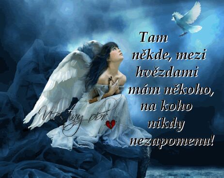 Autor: Jitka Vinterová
Název: ...svého Anděla...